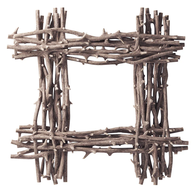 Tree branches for decor / Branch tree Willow decor — Descargar