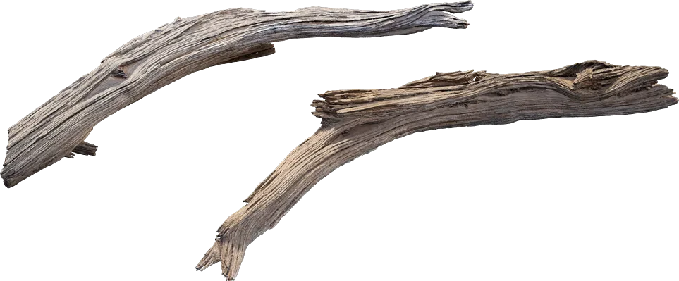 desert western tree branch juniper dead 001 — Descargar