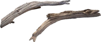 desert western tree branch juniper dead 001 — Descargar