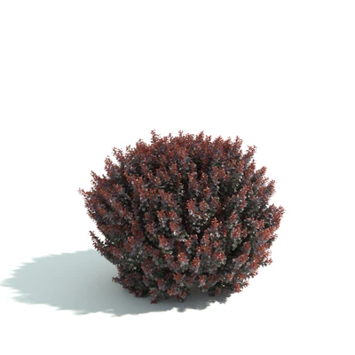 hedges 051 — Скачать