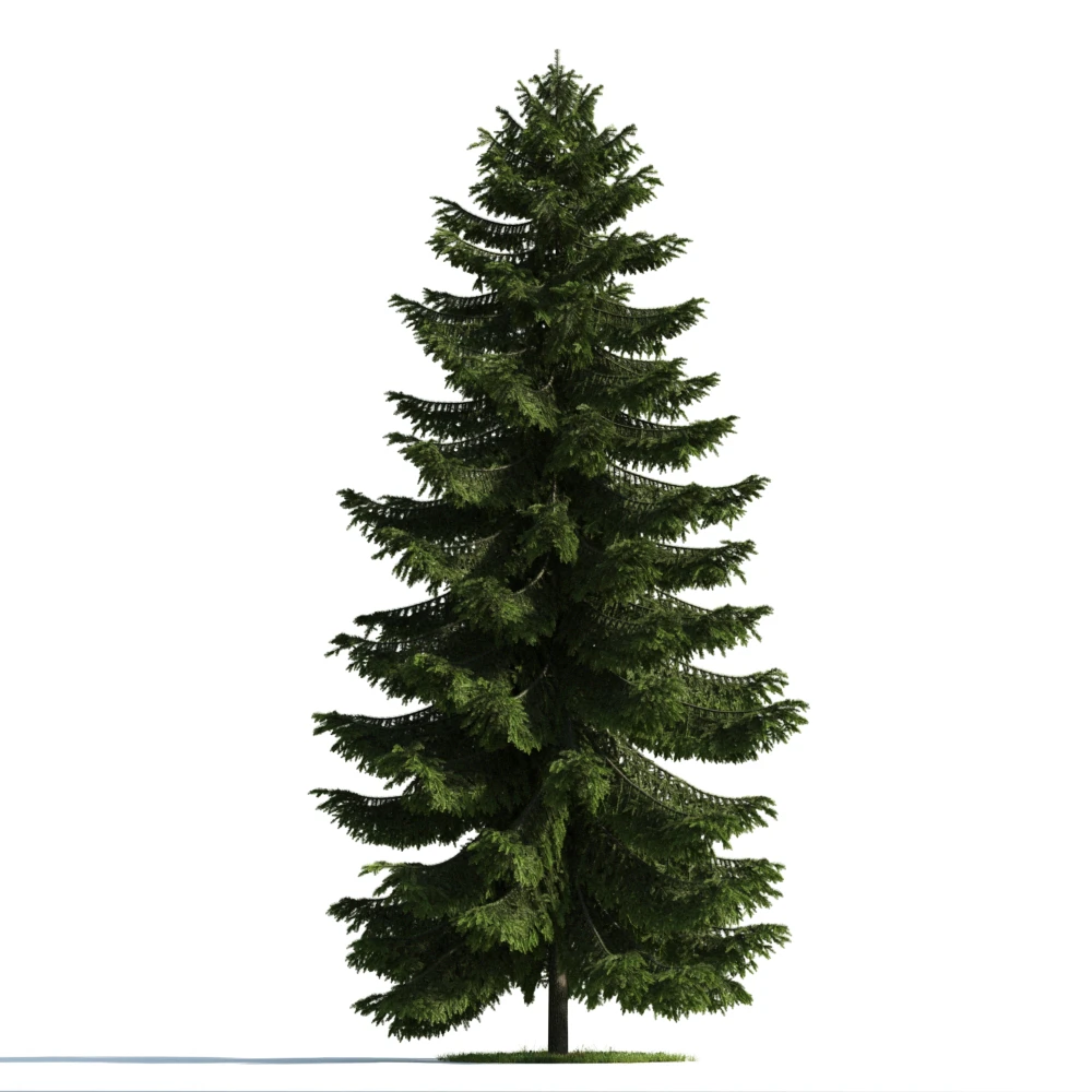 trees 042 — Descargar