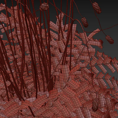 Hemophilus officinalis | Sanguisorba officinalis — Ver 4