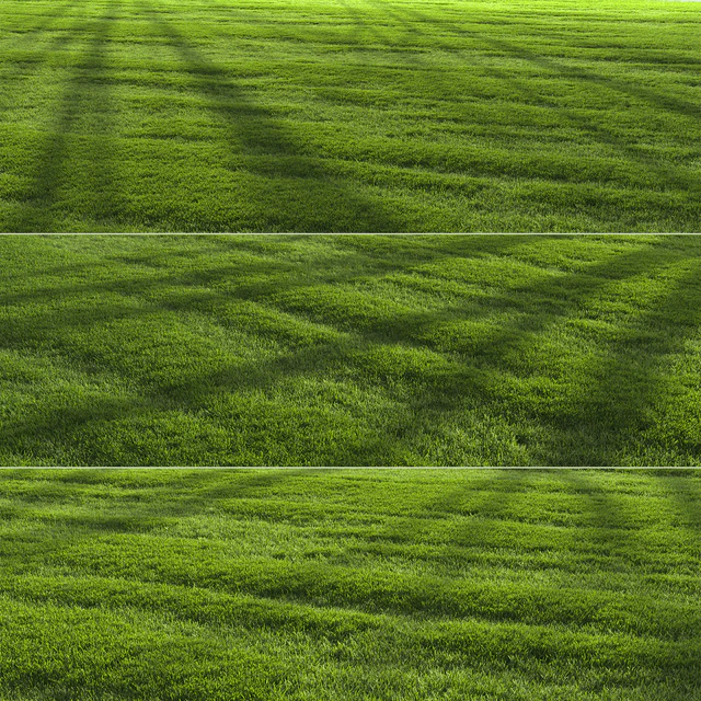 Garden Lawn — Descargar