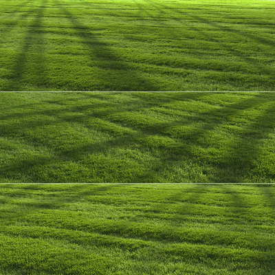 Garden Lawn — Ver 7