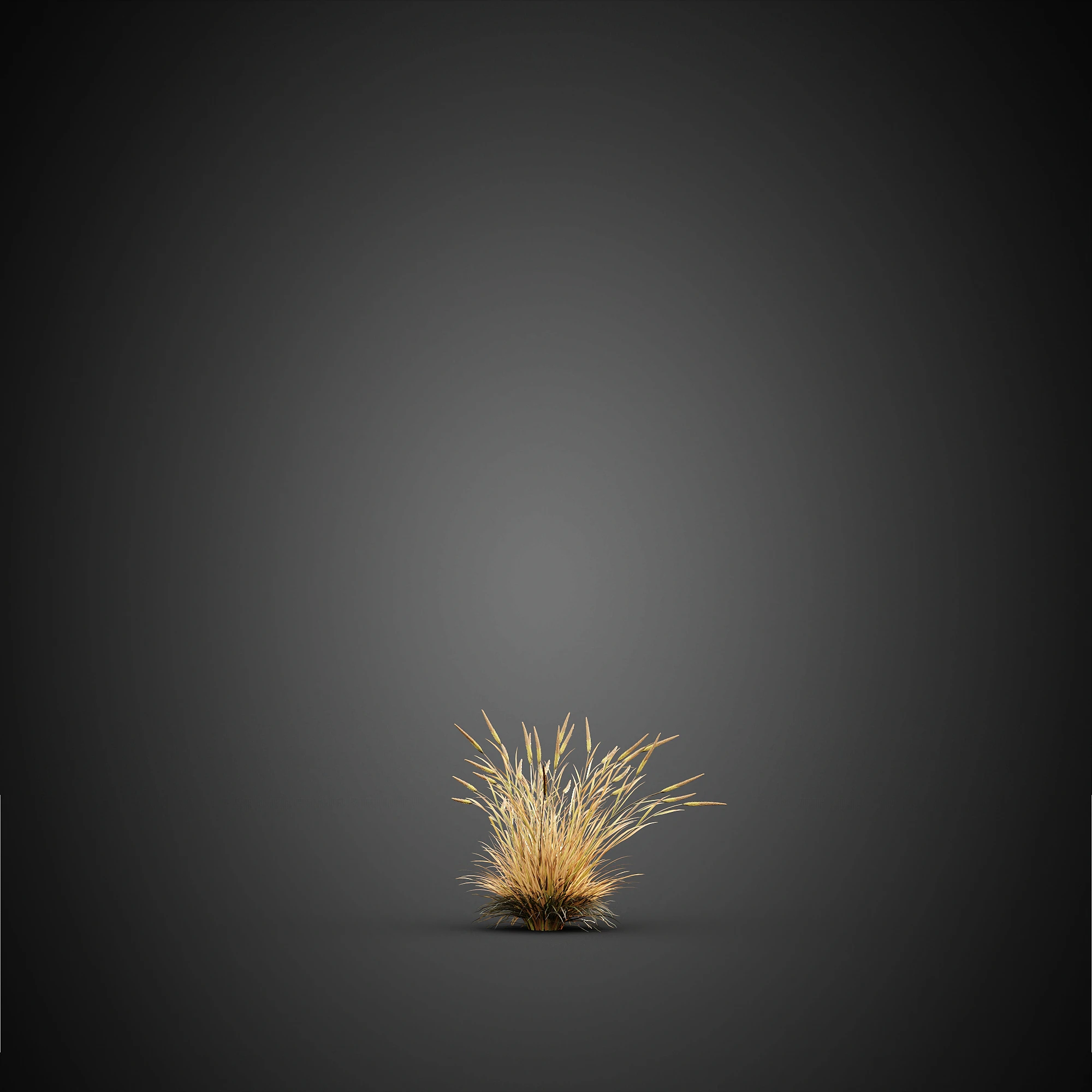 011 — Descargar