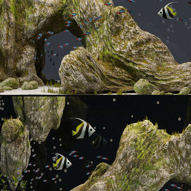 Aquarium with rocks and moss — Descargar