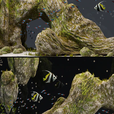 Aquarium with rocks and moss — Ver 4