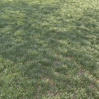 grass for landscape 11 — Вид 3