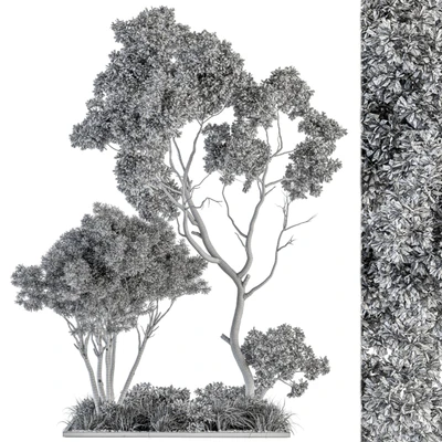 Garden Set Broadleaf Tree - Outdoor Plants Set 360 — Ver 3
