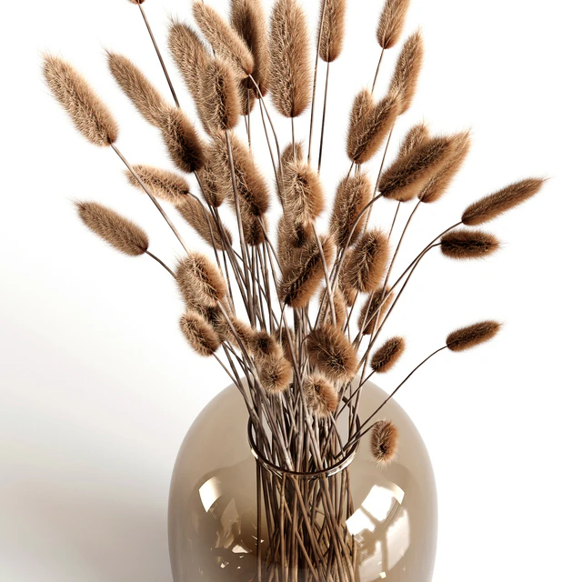 A bouquet of lagurus — Скачать