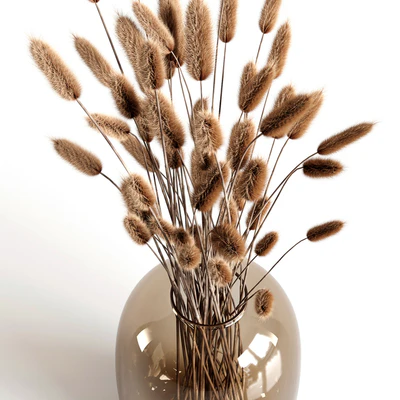 A bouquet of lagurus — Вид 4