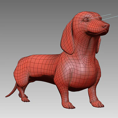 Black dachshund — Ver 3