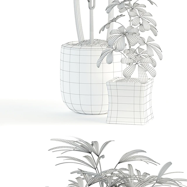 Plants collection 90 — Descargar