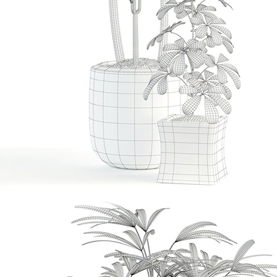 Plants collection 90 — Ver 3