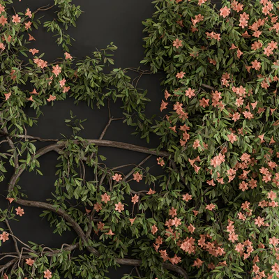 Outdoor Plant Set 426- Ivy on Wall — Вид 4