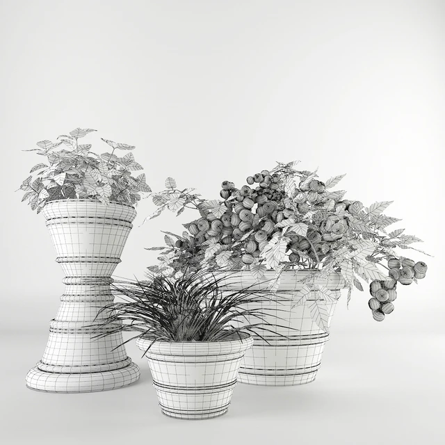 Ornamental garden # 7 — Descargar