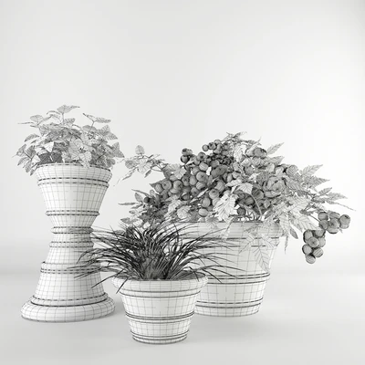 Ornamental garden # 7 — Ver 3