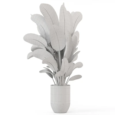 Indoor Plants  in Handmade Stone Pot - Set 1850 — Вид 3