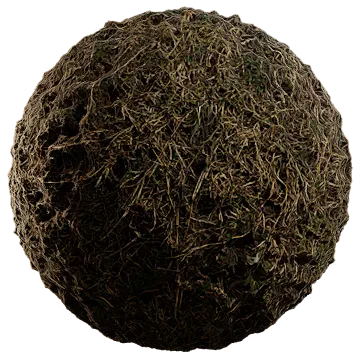 wild grass 027 — Скачать