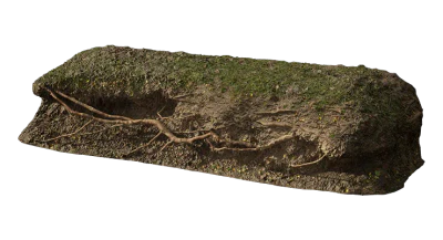 nordic forest ledge root large 001 — Descargar
