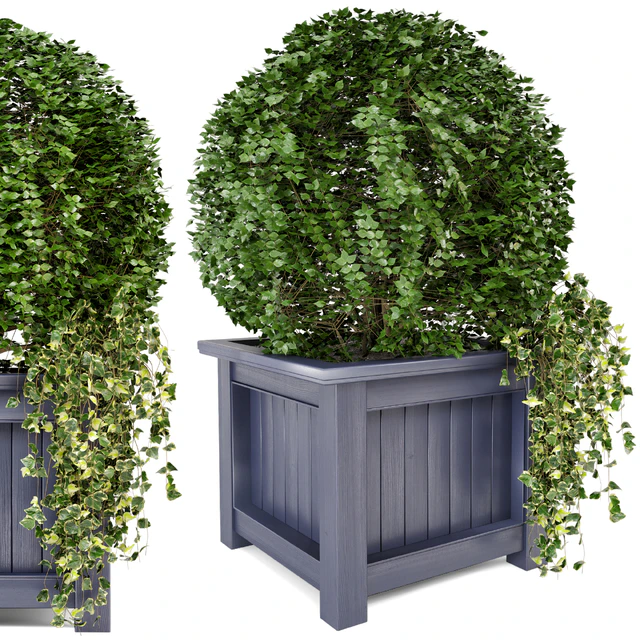 Outdoor Plants in Wooden Pot - Set 34 — Скачать