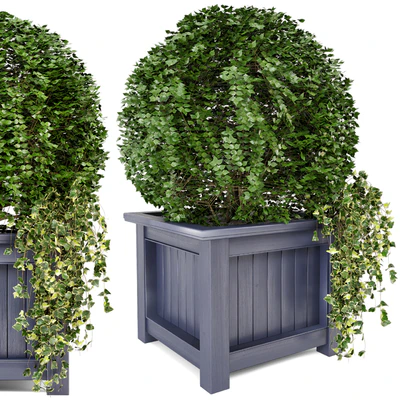 Outdoor Plants in Wooden Pot - Set 34 — Вид 4