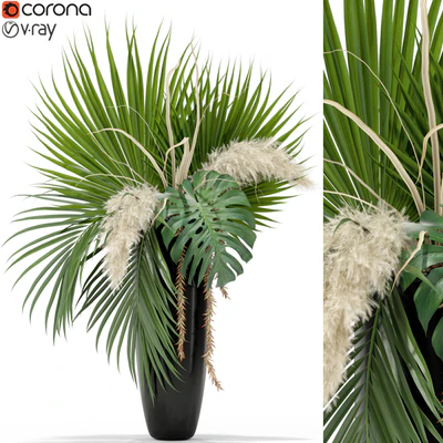Plants collection 368 — Вид 1