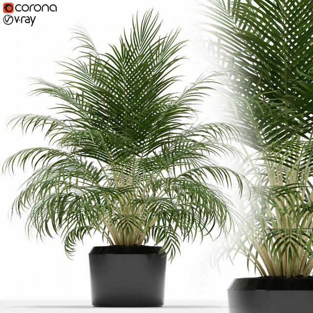 Plants collection 149 — Скачать