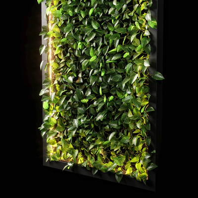 vertical garden 10 — Ver 3