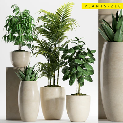 PLANTS 218 — Скачать
