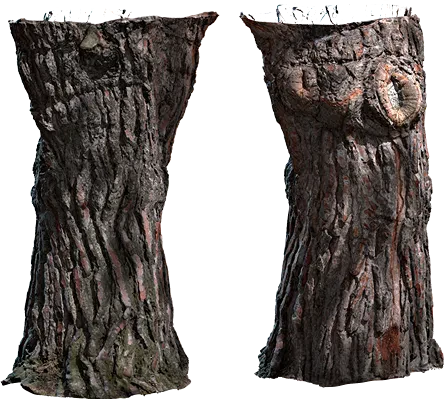 tree stump 001 — Descargar