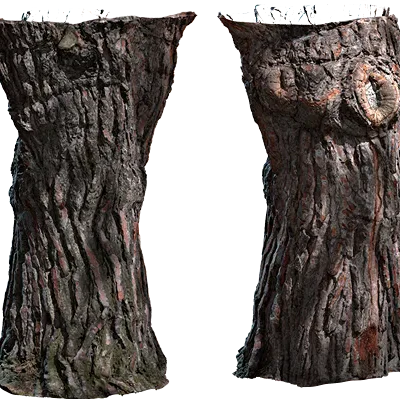 tree stump 001 — Descargar
