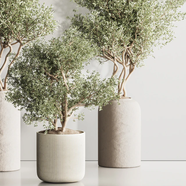 Indoor Plant Set 121 — Скачать