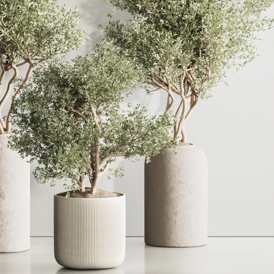 Indoor Plant Set 121 — Вид 4