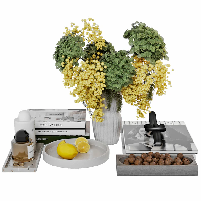 Decorative coffee table set — Descargar
