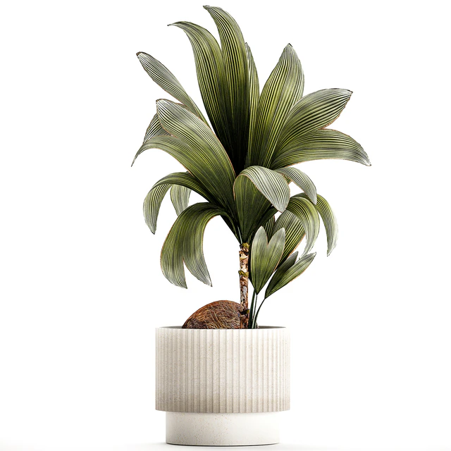 Коллекция растений 1457 — Скачать