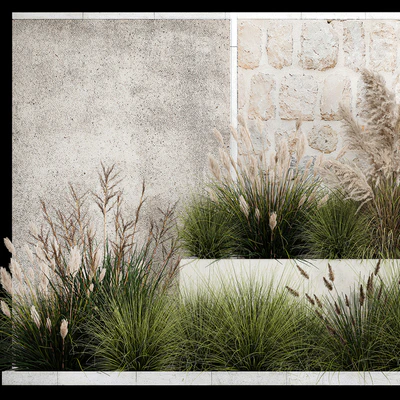 Collection of flowerbed plants and bushes with grass for landscaping, pampas grass, cortaderia and white reeds. 1126. — Ver 5