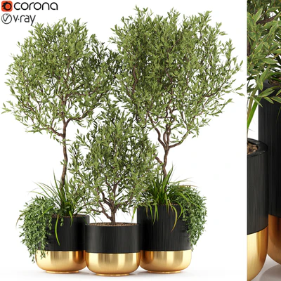Plants collection 494 — Ver 1