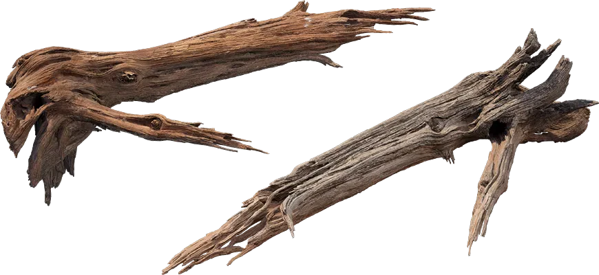 desert western tree log dead medium 001 — Скачать