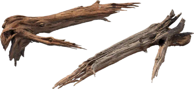 desert western tree log dead medium 001 — Скачать