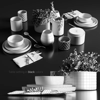 Table setting in black colors — Вид 3