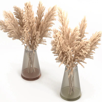 Bouquet of pampas grass — View 4