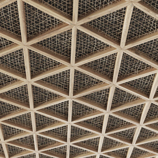 Ceiling tringle frame branch n1 / Ceiling of branches in a triangular frame — Descargar