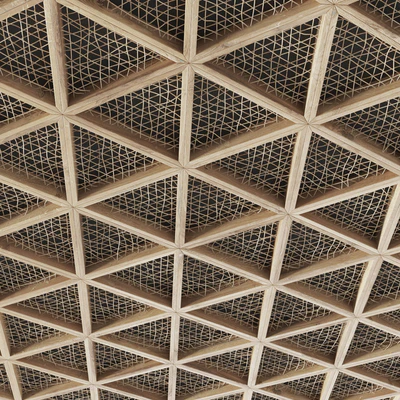 Ceiling tringle frame branch n1 / Ceiling of branches in a triangular frame — Ver 3