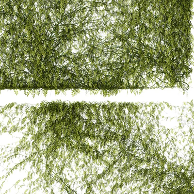 Leaves for walls v2 — Ver 3