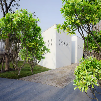 Frangipani tree — Ver 3