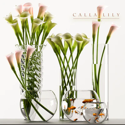 CALLA LILY 3 — Ver 1