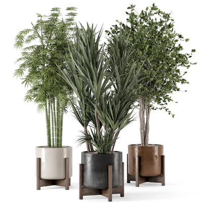 Indoor Plants in Combination of wood & concrete Pot - Set 723 — Вид 1