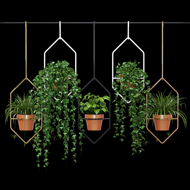 Ampelous plant — Descargar