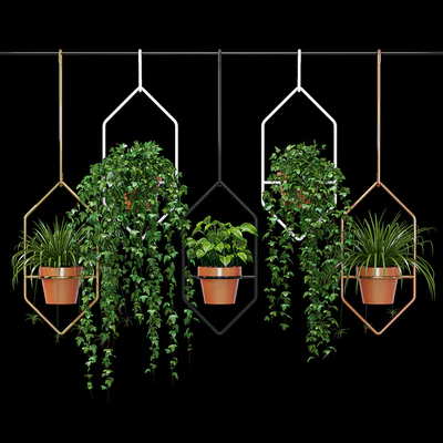 Ampelous plant — Ver 3